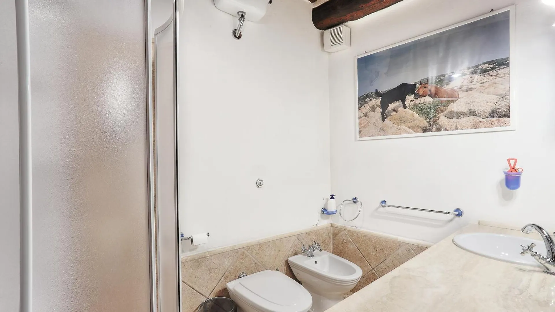 Podere Dei Sassi Stigliano  Apartment